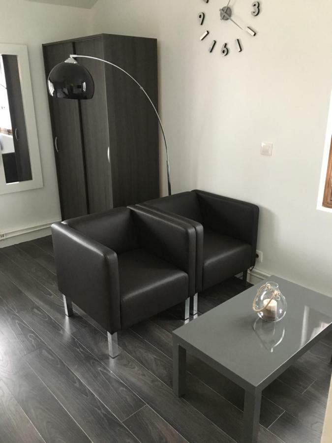 Апартаменти Magnifique Meuble 24M2 Avec Parking Екс-ле-Бен Екстер'єр фото